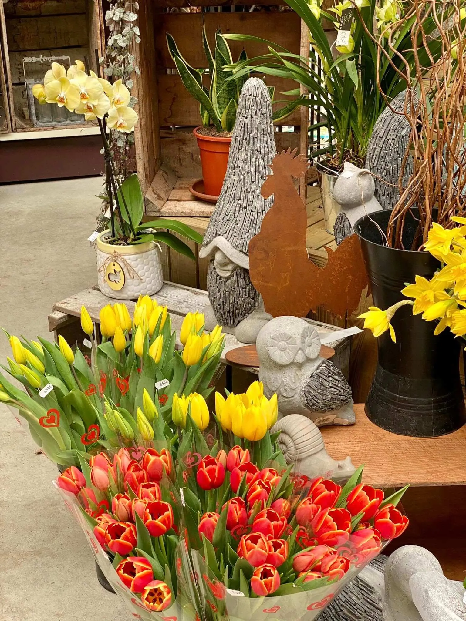 Fleurs jaune et rouge Maison Gilles