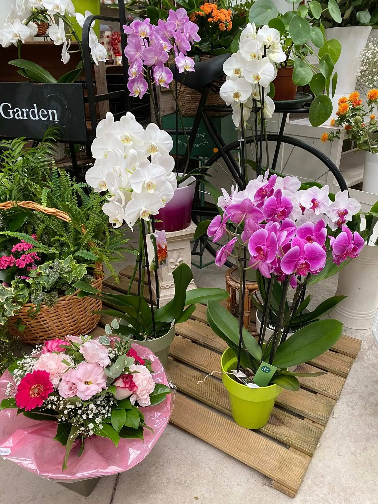 Fleurs blanche et rose Maison Gilles